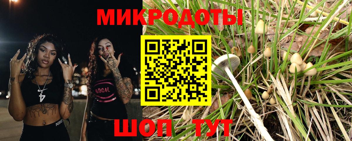 Псилоцибиновые грибы Psilocybine cubensis  Вход с VPN  что такое наркотик  Сухой Лог 