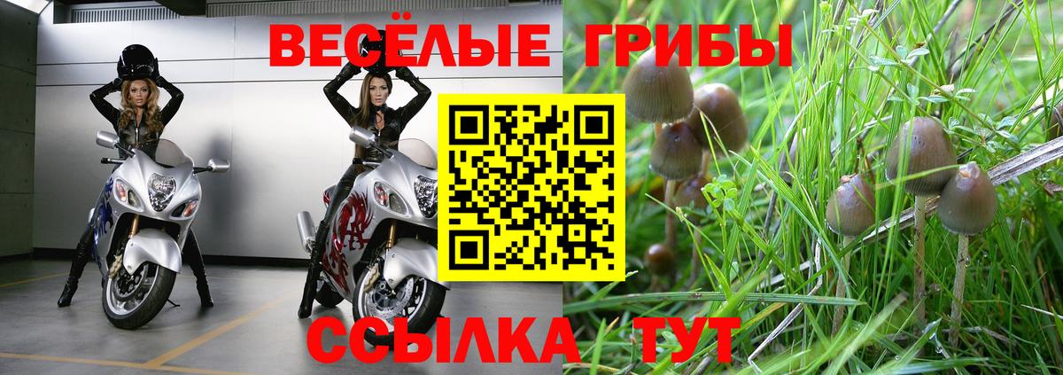 Галлюциногенные грибы Magic Shrooms Сухой Лог